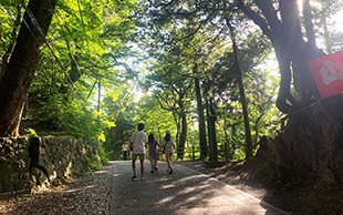 夏期休業期間のお知らせ【8月9日～17日】